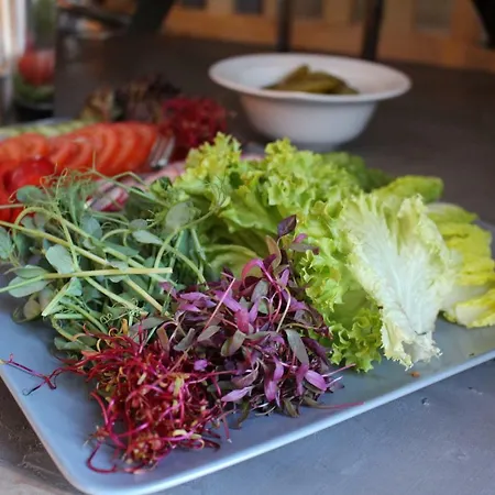 Szálloda Mtj Poznań