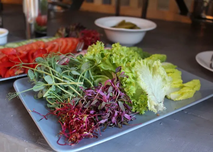 ホテル Mtj ポズナン